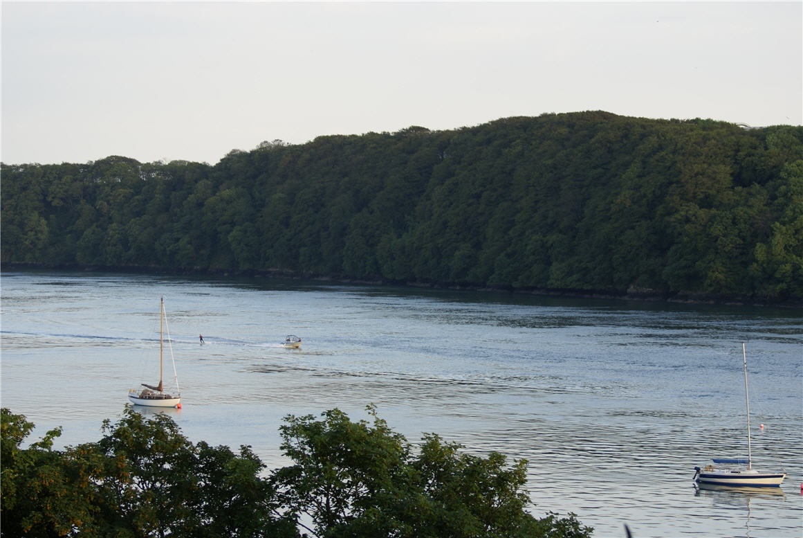 A view of Cleddau River as seen from Rose Cottage.